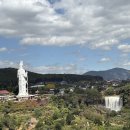 농장 | [베트남] 달랏 땀진커피농장 투어 후기