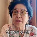 선우용여 카카오 검색결과