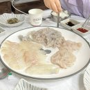 묵호항 자연산 수산물 판매시장 | 동해 묵호항 활어센터 수산시장 천하수산 내돈내산 활어회 포장 추천 별빛마을 어린왕자 벽화