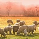 해인 행정사 사무소 이미지