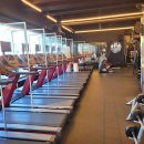 피트니스 갤러리 이미지