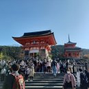[일본/교토 여행기2] 청수사~헤이안 신궁~아라시야마(嵐山) (2022,11/15) 이미지