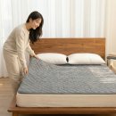 안심의료기 | [전자파없는 전기매트] 임산부도 안심! 한일의료기 탄소매트 리얼 사용 후기