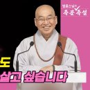 법륜스님) 전 재산을 주식에 투자했는데 모두 날렸습니다 이미지