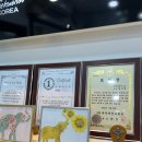 멘토태권 키즈짐 이미지