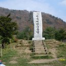 구룡령 옛길 이미지