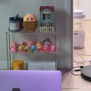 슬기로운식탁 | 슬기로운 대전 생활 (26.01)