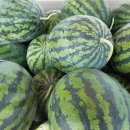 남창원농협 경제사업소 이미지