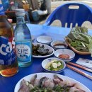 통영 해물포차 | 경남 통영 욕지도 맛집 해녀포차 야장에서 고등어회와 낮술까지