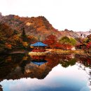 우화정 - 경산시 | 우화정