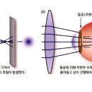 더브렌즈 이미지