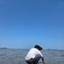 어몽더월넛 - 화성시 화성로 1105 | 아이와 함께 다녀온 방아머리해변 갯벌체험 후기｜준비물부터 물때, 조개잡이까지