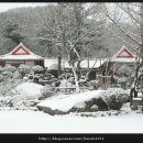 금성민박 이미지