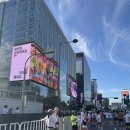 2025년 서울 어스 마라톤(9.21) 이미지