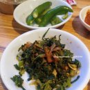 두꺼비포차 이미지