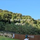 멍숲 이미지