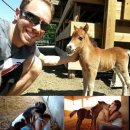 살랑살랑 이미지