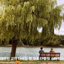뉴문구 | 후쿠오카 현지인 맛집 테무진 교자 다이묘점/ 오호리 공원 스타벅스 방문후기