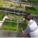 논산시농업기술센터 이미지