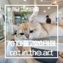 701아를고양이카페(cat in the art) | 하남고양이카페 701아를고양이카페 Cat in The Art 에서 시원한 미사실내데이트