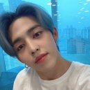 쿱스 이미지