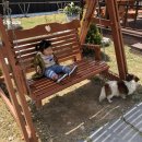 대숲민박 이미지