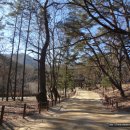 금당2호약수터 | (경북 김천)직지사(直指寺) -Ⅱ편- 현존하는 불전과 불전 내 문화재들