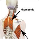 멜버른 승마 이미지