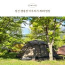 정선 캠핑장 아우라지 제1야영장 2박 3일 후기