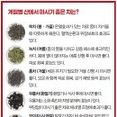 차마시기 이미지