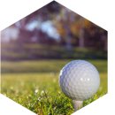 (주)제주리무진 이미지