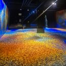슈퍼마켓자연숲(쌍촌점) | 뜨거운 여름, 제주도 실내 가볼만한 곳 (노형수퍼마켙, 아트서커스, 아르떼뮤지엄, 제주패스)