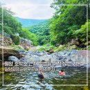 나무그늘 - 동구 대학로 62 | 밀양 계곡 평상 대여 추천 호박소 근처 얼음골나무그늘평상에서 즐긴 시원한 계곡 피서 후기