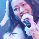 리포포 이미지