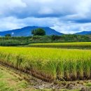 연진축산 이미지