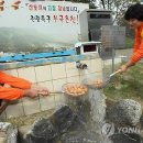 부곡온천관광특구 이미지