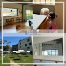 파주여행) 피스피스 출판단지점 내돈내산 솔직후기[야외테라스/ 애견동반&amp;유아동반 가능/ 파주 대형...
