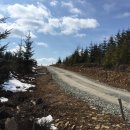 필라테스(취미) 이미지