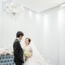 메이브 - 성동구 | [웨딩스냅 / 메이브스냅] 본식 촬영 후기 - 루이비스컨벤션 송파문정 (feat. 할인 짝꿍코드 공유)