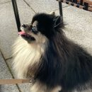 준삼형제글램핑 이미지