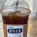 카페오엑스오