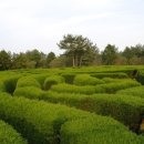 김녕관광지 이미지