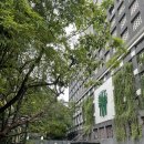 반얀트리 방콕 2 BR Serenity Suite 세레니티 스위트 2박 후기 💘 (방콕 4명 호텔 추천/조식/수영장)