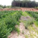 청마농장 이미지