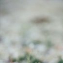 반포대로28길 94 이미지