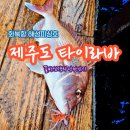 해성피싱 | 제주도 화북항 해성피싱호 참돔 타이라바 출조 후기 (당일 출조 가능한 제주 타이라바)