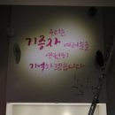 나무(NAMU) 이미지