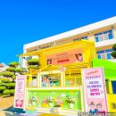 청주중앙여자중학교 이미지