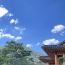 토배기산장 네이버블로그