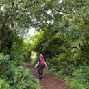 서광동리 이미지